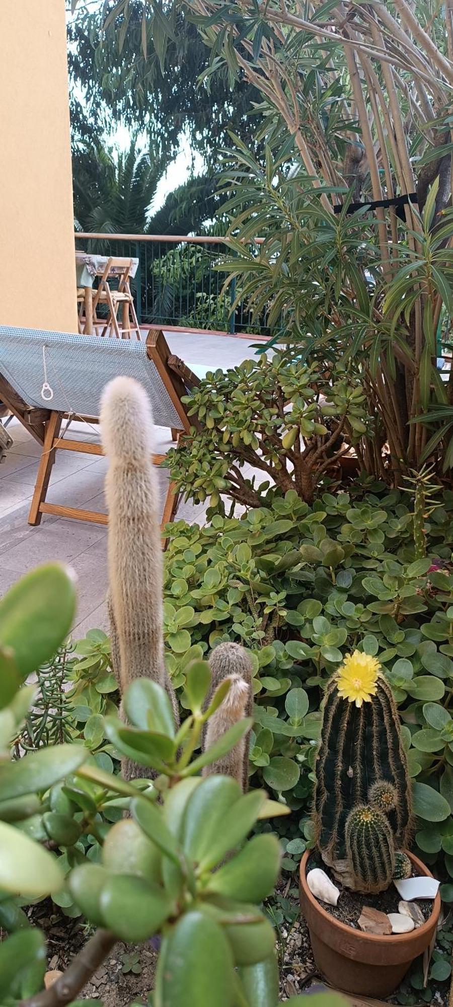 Apartmán Casa Di Claude Con Posto Auto Finale Ligure Exteriér fotografie